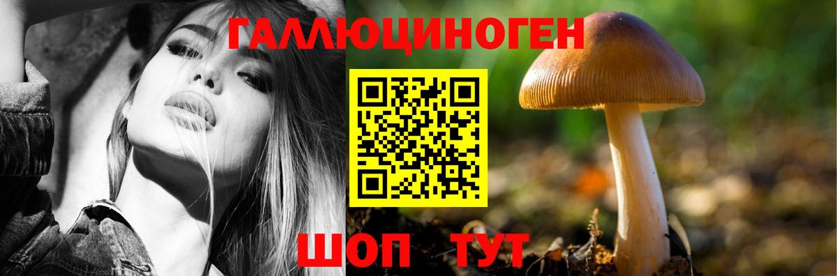 Курчалой  Псилоцибиновые грибы мухоморы  Галлюциногенные грибы мицелий  Вход с VPN 
