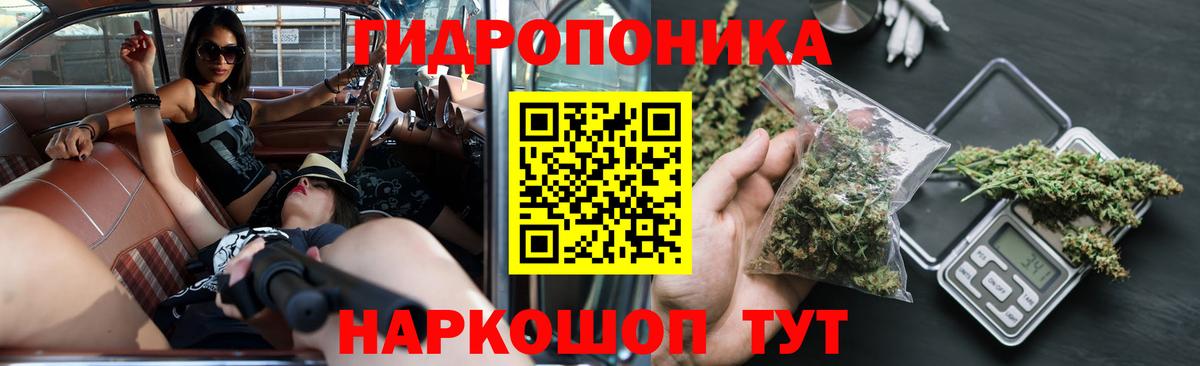 Канабис план  Шишки марихуана LSD WEED  Бошки Шишки White Widow  Курчалой  Вход с VPN 